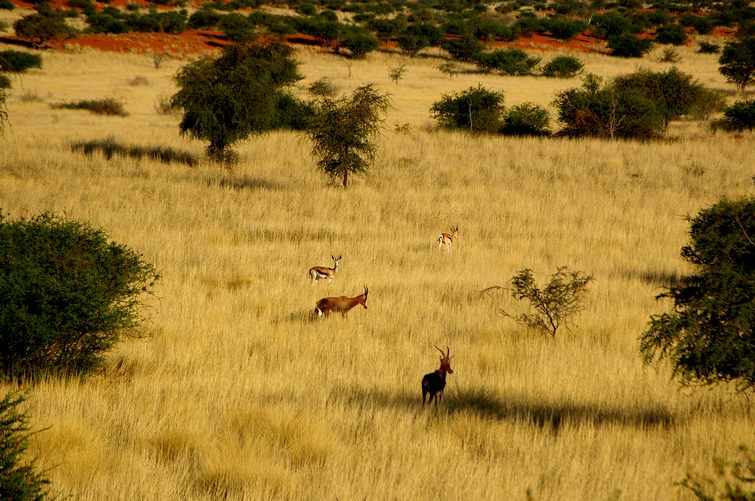 063 Namibia Okt 2006 .JPG